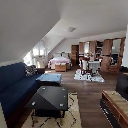 Stayinn Moeckern - 1 Fuer 3 Personen -1zimmer Mit Schlafsofa Und Doppelbett-kein Zweites Apartmán Lipsko